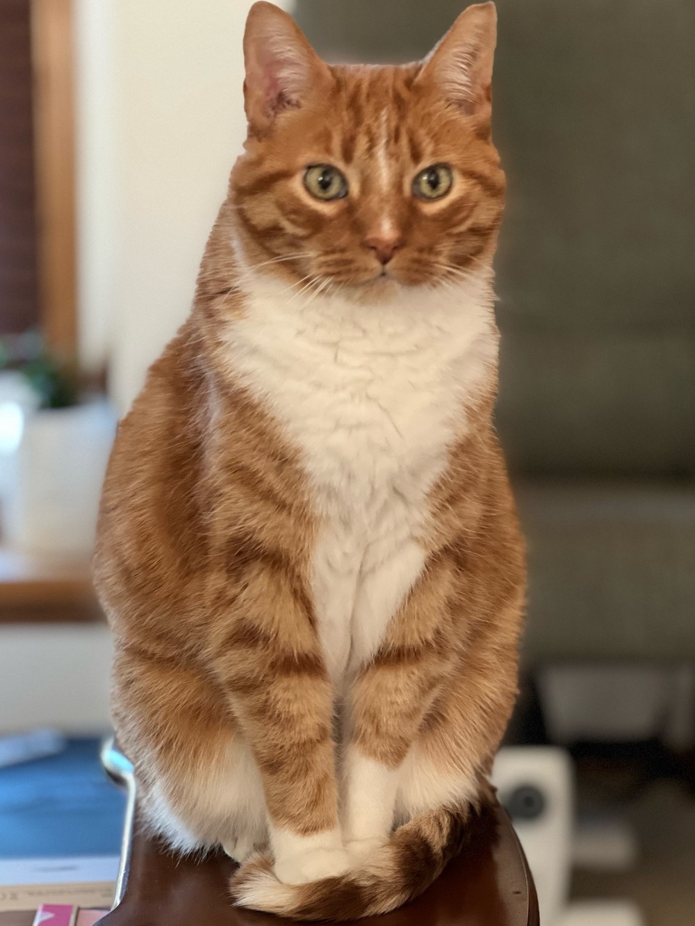 AVOCADO Is LIVE Now - So Nice to Meet You - Picture 11 of 14